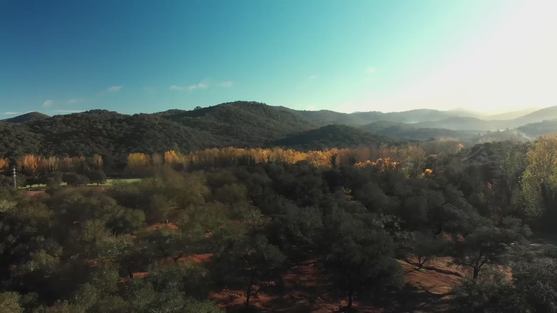 Cargar video: 